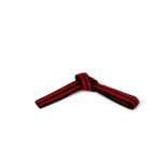 BLACK BELT WITH DOUBLE COLOR STRIPES - Image 8