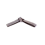 COLOR BELTS WITH WHITE DOUBLE STRIPES - Image 7