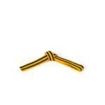 COLOR BELT WITH DOUBLE BLACK STRIPES - Image 2