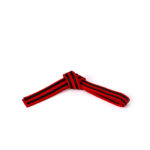 COLOR BELT WITH DOUBLE BLACK STRIPES - Image 8