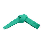 SOLID COLOR SINGLE WRAP BELTS - Image 7