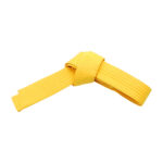 SOLID COLOR SINGLE WRAP BELTS - Image 2