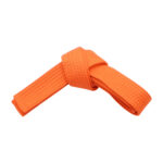 SOLID BELTS SPECIAL COLORS - Image 9