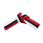 HALF/HALF BELTS WITH STRIPE - Image 9