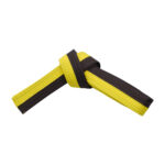 HALF YELLOW WITH HALF COLOR BELTS - Image 3