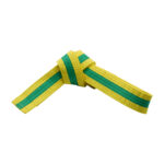 YELLOW BELTS WITH STRIPE - Image 5