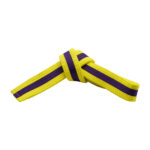 YELLOW BELTS WITH STRIPE - Image 3