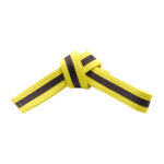 YELLOW BELTS WITH STRIPE - Image 6