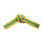 GOLD BELTS WITH STRIPE - Image 2
