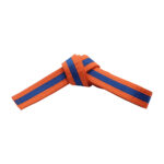 ORANGE BELTS WITH STRIPE - Image 4
