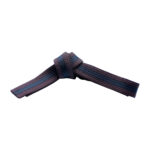 SOLID BELTS WITH BLACK STRIPES - Image 8