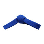 SOLID COLOR BELTS - Image 6