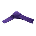 SOLID COLOR BELTS - Image 5