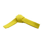 SOLID COLOR BELTS - Image 2