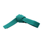 SOLID BELTS SPECIAL COLORS - Image 2