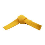 SOLID COLOR SINGLE WRAP BELTS - Image 3