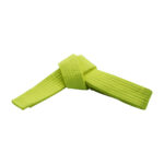 SOLID BELTS SPECIAL COLORS - Image 8