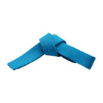 SOLID BELTS SPECIAL COLORS - Image 5