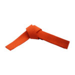 SOLID COLOR SINGLE WRAP BELTS - Image 4