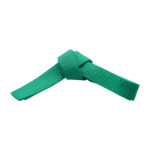 SOLID COLOR BELTS - Image 7