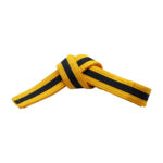 SOLID BELTS WITH BLACK STRIPES - Image 3