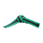 GREEN BELTS WITH STRIPE - Image 4