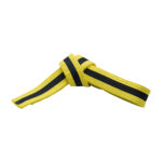 SOLID BELTS WITH BLACK STRIPES - Image 2