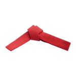 SOLID COLOR BELTS - Image 9