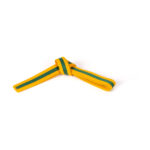 GOLD BELTS WITH STRIPE - Image 3