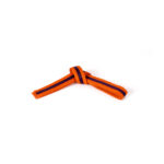 ORANGE BELTS WITH STRIPE - Image 5
