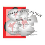 SPECIAL RECONGNITION