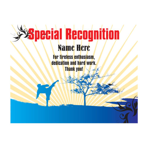 SPECIAL RECOGNITION