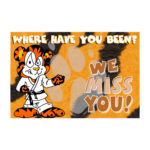 WE MISS YOU! - LITTLE TIGER