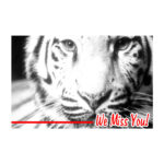 WE MISS YOU WHITE TIGER